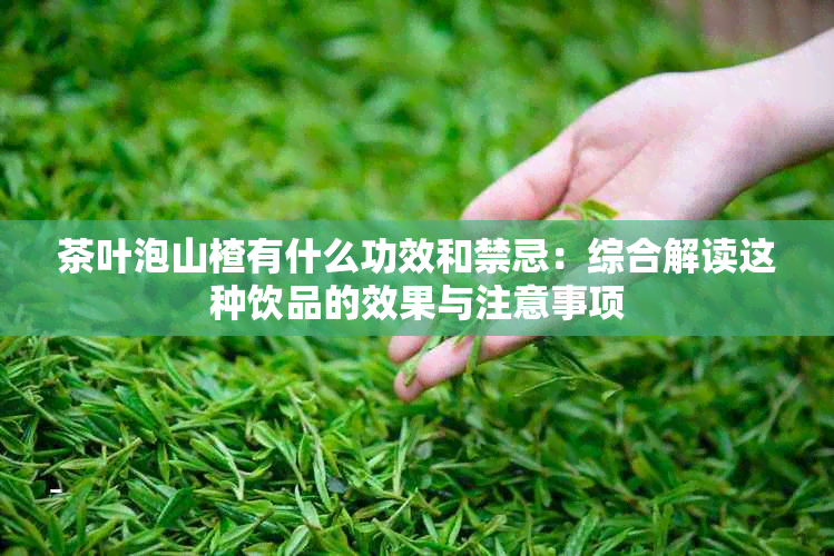 茶叶泡山楂有什么功效和禁忌：综合解读这种饮品的效果与注意事项