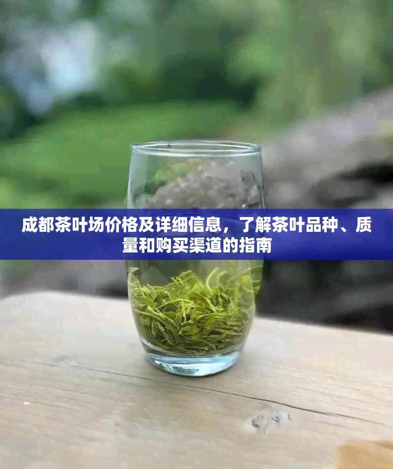 成都茶叶场价格及详细信息，了解茶叶品种、质量和购买渠道的指南