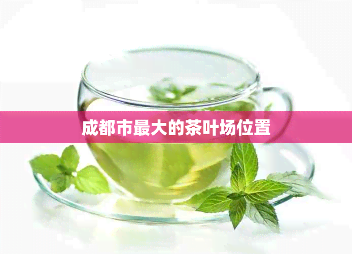 成都市更大的茶叶场位置