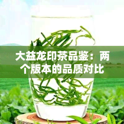 大益龙印茶品鉴：两个版本的品质对比与辨识