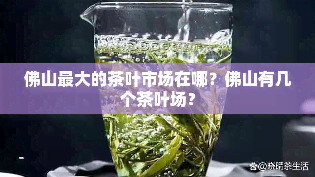 佛山更大的茶叶市场在哪？佛山有几个茶叶场？