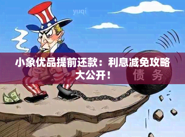 小象优品提前还款：利息减免攻略大公开！