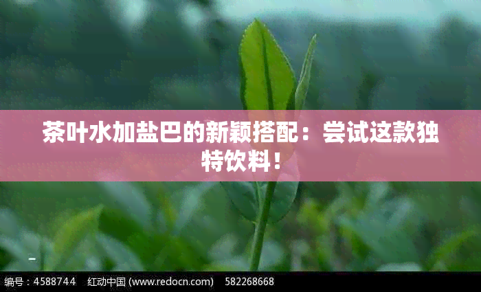 茶叶水加盐巴的新颖搭配：尝试这款独特饮料！