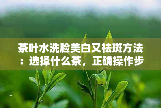 茶叶水洗脸美白又祛斑方法：选择什么茶，正确操作步骤