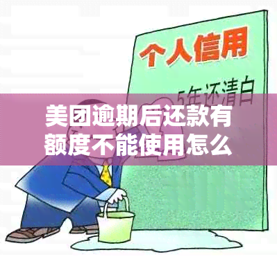 美团逾期后还款有额度不能使用怎么办呀？