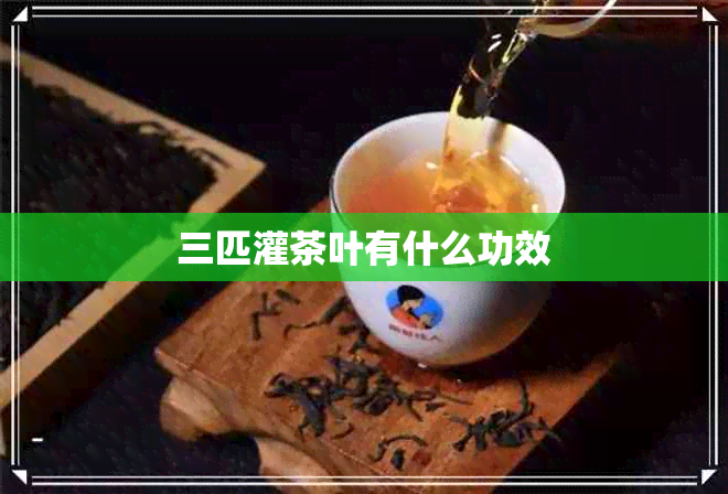 三匹灌茶叶有什么功效