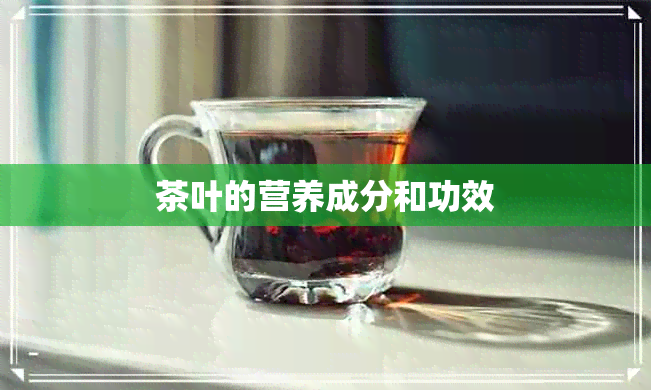 茶叶的营养成分和功效