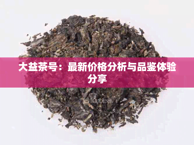 大益茶号：最新价格分析与品鉴体验分享