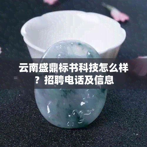 云南盛鼎标书科技怎么样？招聘电话及信息