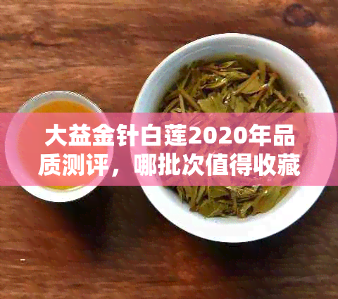 大益金针白莲2020年品质测评，哪批次值得收藏？