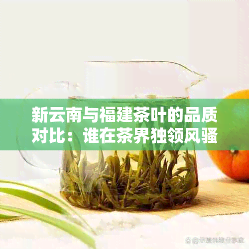 新云南与福建茶叶的品质对比：谁在茶界独领 *** ？