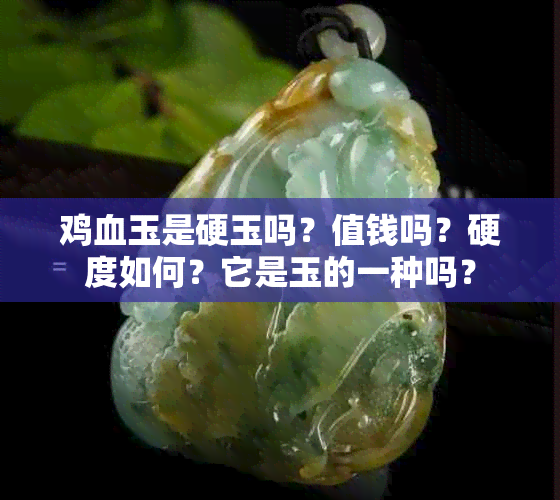 鸡血玉是硬玉吗？值钱吗？硬度如何？它是玉的一种吗？