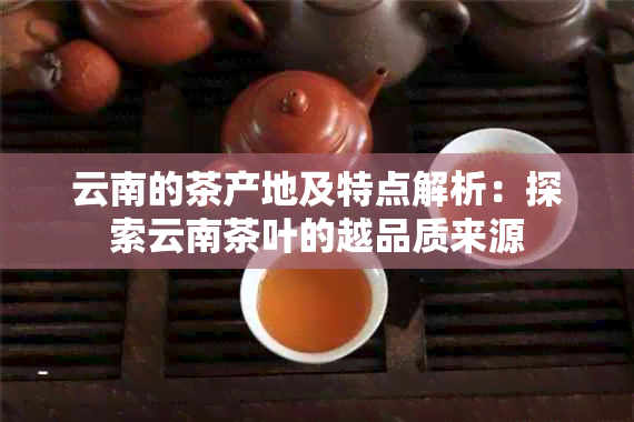 云南的茶产地及特点解析：探索云南茶叶的越品质来源