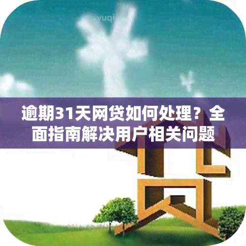 逾期31天网贷如何处理？全面指南解决用户相关问题