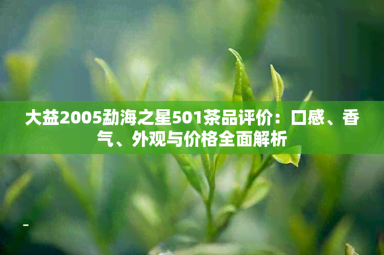 大益2005勐海之星501茶品评价：口感、香气、外观与价格全面解析