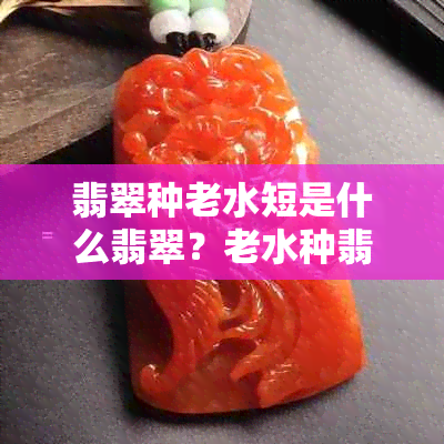 翡翠种老水短是什么翡翠？老水种翡翠价值与特点