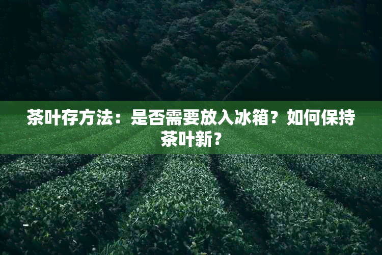 茶叶存方法：是否需要放入冰箱？如何保持茶叶新？