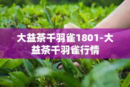 大益茶千羽雀1801-大益茶千羽雀行情