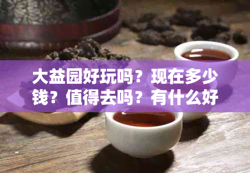 大益园好玩吗？现在多少钱？值得去吗？有什么好玩的？在哪里？