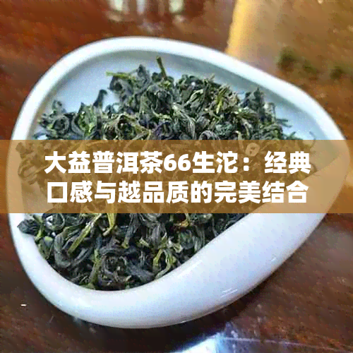 大益普洱茶66生沱：经典口感与越品质的完美结合