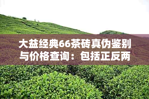 大益经典66茶砖真伪鉴别与价格查询：包括正反两面及经典7562青砖