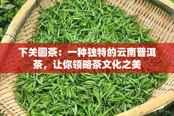 下关圆茶：一种独特的云南普洱茶，让你领略茶文化之美