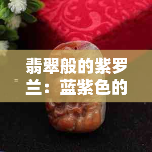 翡翠般的紫罗兰：蓝紫色的魅力与神秘