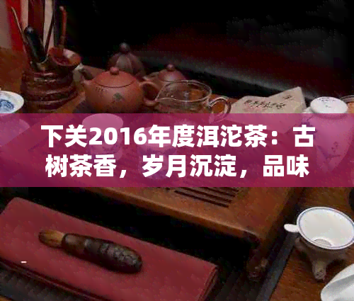 下关2016年度洱沱茶：古树茶香，岁月沉淀，品味经典