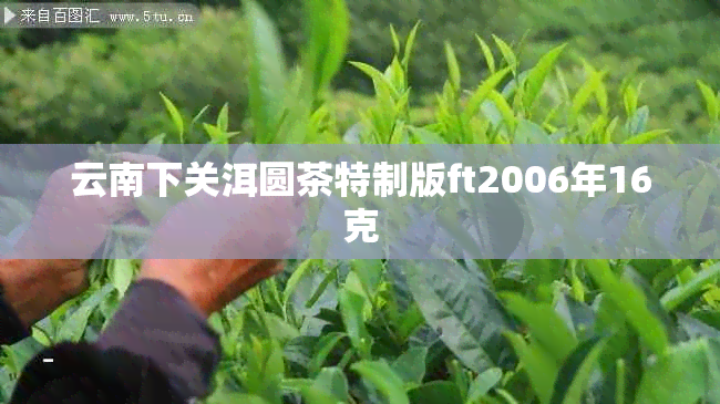 云南下关洱圆茶特制版ft2006年16克