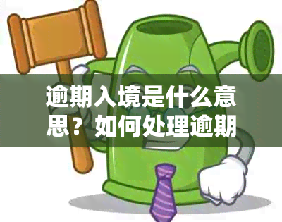 逾期入境是什么意思？如何处理逾期入境？