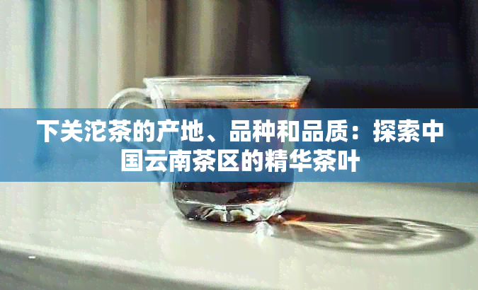 下关沱茶的产地、品种和品质：探索中国云南茶区的精华茶叶