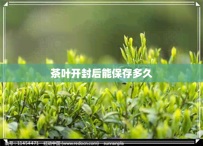 茶叶开封后能保存多久