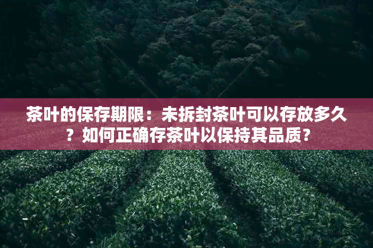 茶叶的保存期限：未拆封茶叶可以存放多久？如何正确存茶叶以保持其品质？