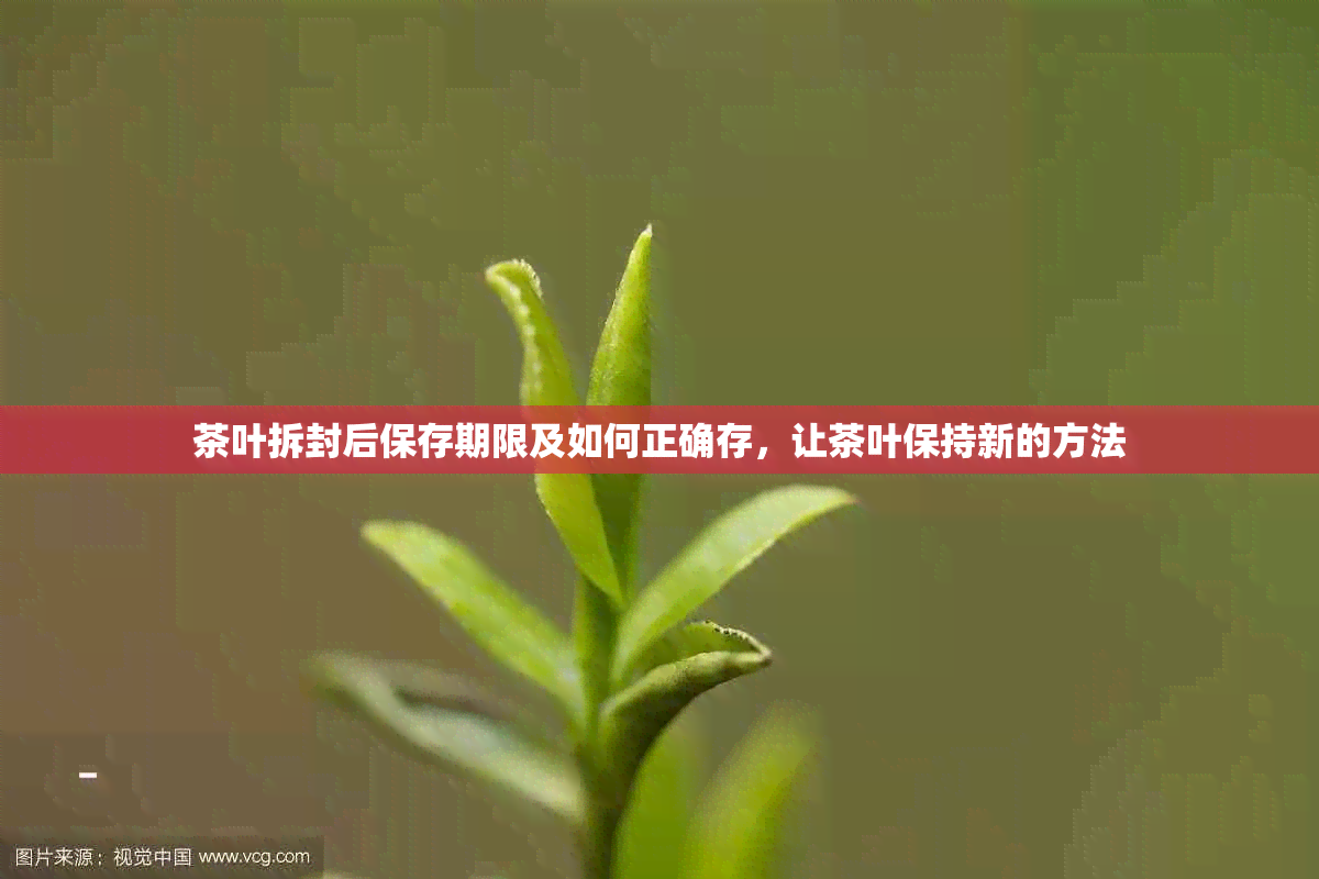 茶叶拆封后保存期限及如何正确存，让茶叶保持新的方法