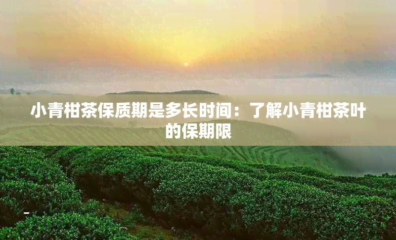 小青柑茶保质期是多长时间：了解小青柑茶叶的保期限