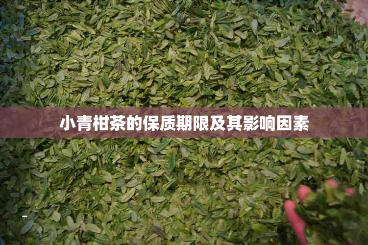 小青柑茶的保质期限及其影响因素