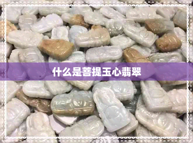 什么是菩提玉心翡翠