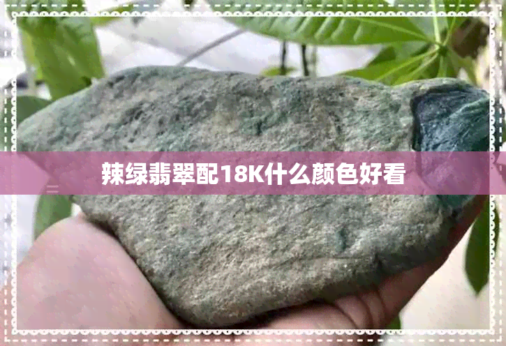 辣绿翡翠配18K什么颜色好看