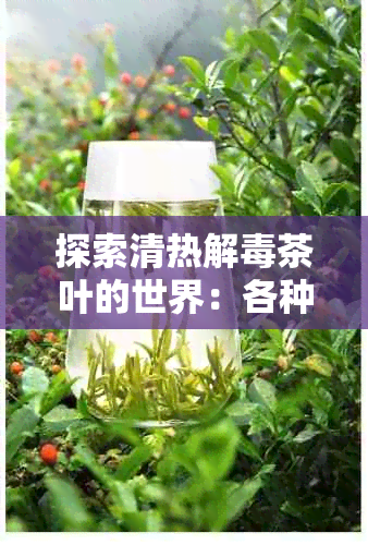 探索清热解茶叶的世界：各种品种与功效一览