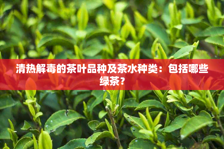 清热解的茶叶品种及茶水种类：包括哪些绿茶？