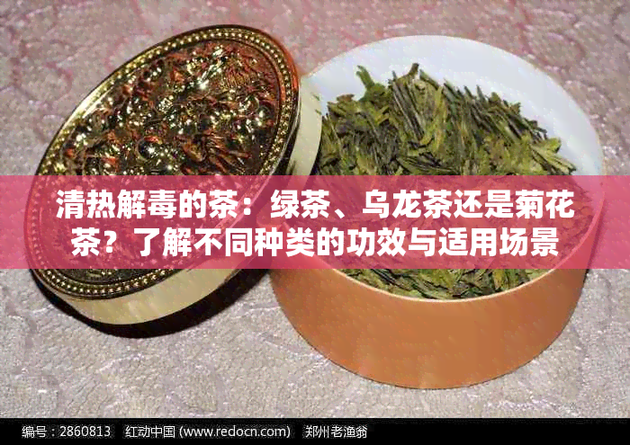 清热解的茶：绿茶、乌龙茶还是菊花茶？了解不同种类的功效与适用场景