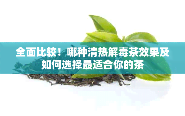 全面比较！哪种清热解茶效果及如何选择最适合你的茶