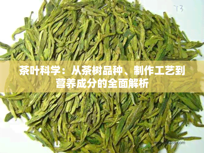 茶叶科学：从茶树品种、制作工艺到营养成分的全面解析