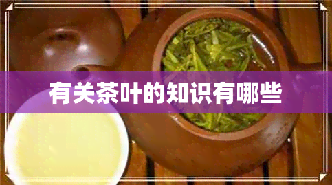 有关茶叶的知识有哪些