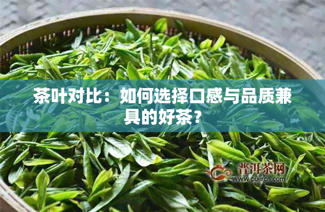 茶叶对比：如何选择口感与品质兼具的好茶？