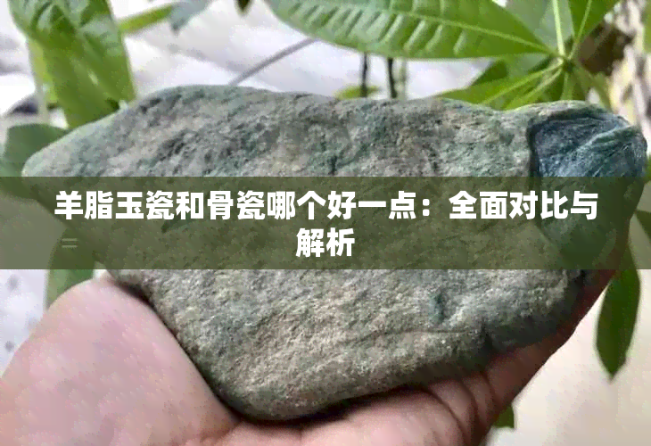 羊脂玉瓷和骨瓷哪个好一点：全面对比与解析