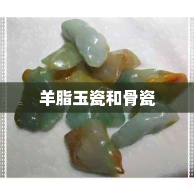 羊脂玉瓷和骨瓷