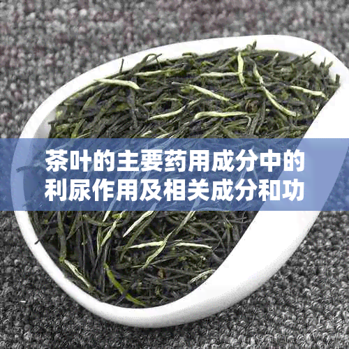 茶叶的主要用成分中的利尿作用及相关成分和功效