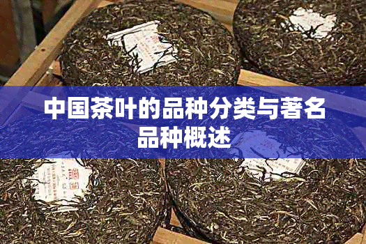 中国茶叶的品种分类与著名品种概述