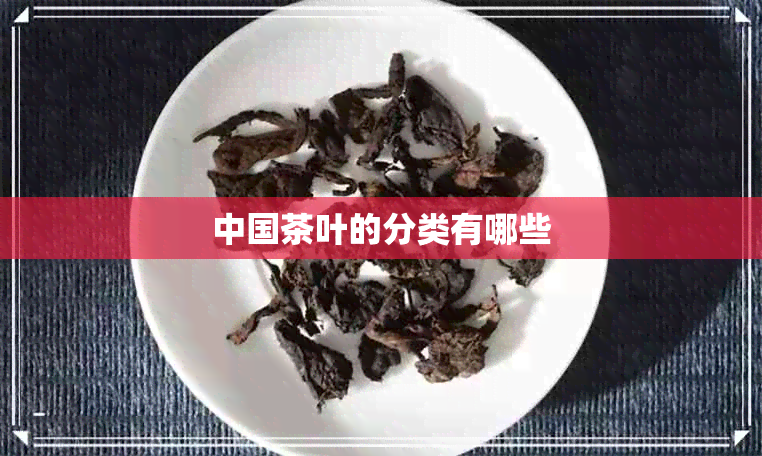 中国茶叶的分类有哪些